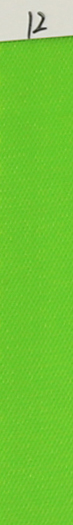 Fluorescent Vert
