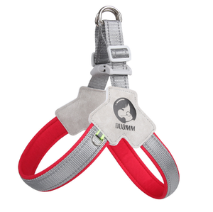 カスタマイズ可能な小型高級犬用リードとハーネスセット、パーソナライズされた反射素材入りパッド入りリバーシブル、ポリエステル製、シンプルでおしゃれ - Product Image 3