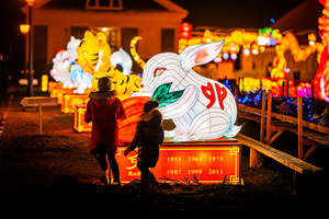 Soldados de <span class=keywords><strong>terracota</strong></span> con estructura de acero, linterna de jardín china impermeable para decoración al aire libre, linterna de flores con motivo de luz - Product Image 6