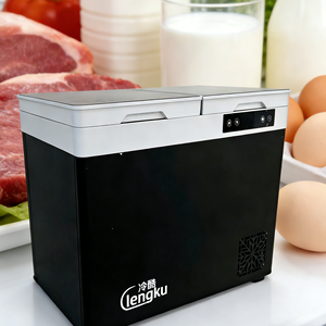 Mini-réfrigérateur/congélateur portable 12V/24V le plus vendu - Réfrigérateur mobile <span class=keywords><strong>pour</strong></span> véhicule, idéal <span class=keywords><strong>pour</strong></span> le <span class=keywords><strong>camping</strong></span> - Product Image 1