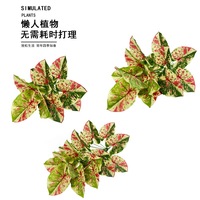 Nouveau produit très demandé : Plante artificielle en plastique, feuilles variées à points rouges, type oreille d'éléphant, en pot, pour décoration de mariage et de Pâques