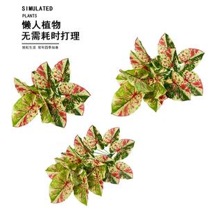 Planta Artificial <span class=keywords><strong>de</strong></span> <span class=keywords><strong>Oreja</strong></span> <span class=keywords><strong>de</strong></span> <span class=keywords><strong>Elefante</strong></span> con Puntos Rojos, en <span class=keywords><strong>Maceta</strong></span>, para Decoración <span class=keywords><strong>de</strong></span> Bodas y Pascua, Producto Nuevo en Venta - Product Image 6