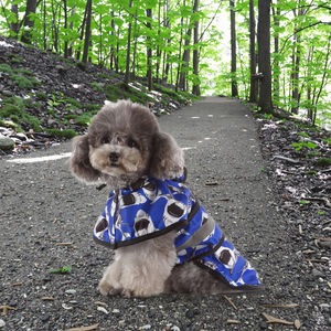 Impermeabile impermeabile con striscia riflettente cani di grandi dimensioni modello solido accessorio per animali domestici per Golden <span class=keywords><strong>Retriever</strong></span> Corgi cucciolo di gatti - Product Image 1