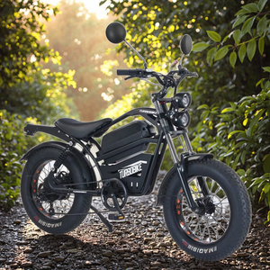 2025 almacén Ridstar Q20Mini bicicleta eléctrica Motor sin escobillas batería de litio montaña neumático grueso bicicleta eléctrica Dirt <span class=keywords><strong>E</strong></span> Bike - Product Image 1