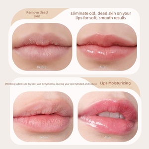 Bálsamo <span class=keywords><strong>Labial</strong></span> Vegano de Marca Privada, <span class=keywords><strong>Reparador</strong></span> con Manteca de Karité, Hidratante, Terapia <span class=keywords><strong>Labial</strong></span>, Bálsamo <span class=keywords><strong>Labial</strong></span> en Barra con Logotipo Personalizado, Venta al Por Mayor, MOQ Bajo - Product Image 3