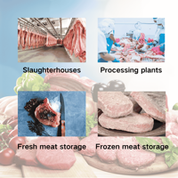 Congélateur à viande automatique haute efficacité avec compresseur et moteur Copeland, écologique, pour ligne de transformation de la viande