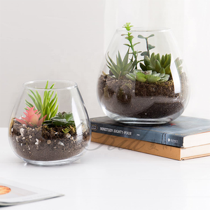 Ronde Glazen Plant Tafelblad Terrarium Sappige Lucht Plant Planter Viskom Milieuvriendelijk - Product Image 1