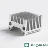 Profils en aluminium extrudé sur mesure Liangyin, ouverture de moule 6063 T5, revêtement en poudre, usinage CNC, dissipateur thermique, profil en T architectural