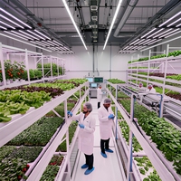 Étagères de culture hydroponique à LED à 3 niveaux, bacs de culture verticaux, tables de pépinière pour plantes
