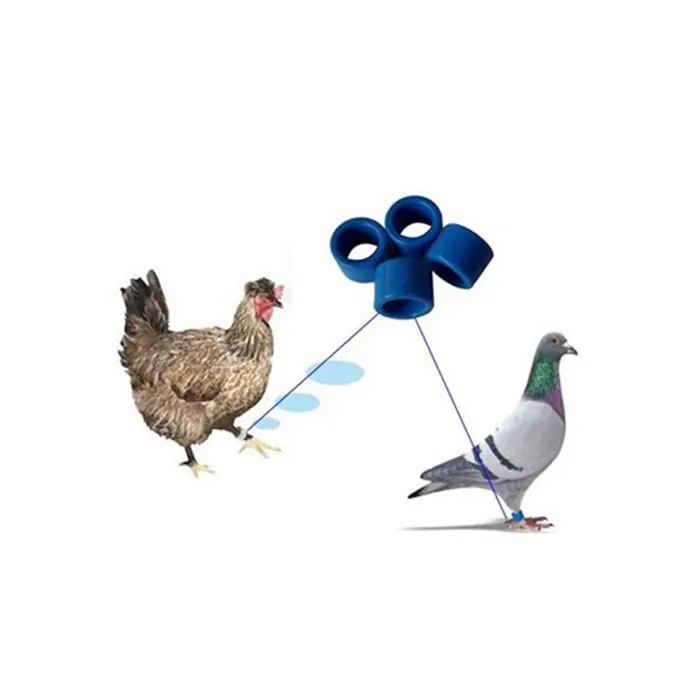 Etiqueta de seguimiento de palomas UHF RFID, Anillo de pie de pollo de carreras, etiquetas de anillo de pierna para Paloma