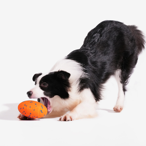 Cheerble Wicked Rugby E-TPU Revolucionário Automático Self-Jumping High-Bounce Interactive Dog Playing Toy - Product Image 1
