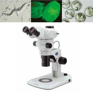 Kính hiển vi phòng thí nghiệm Olympus SZX7, nguồn sáng LED, kính hiển vi lập thể có camera dùng trong phòng thí nghiệm - Product Image 1