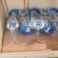 Válvula de Compuerta con Brida de Acero Inoxidable Clase 150