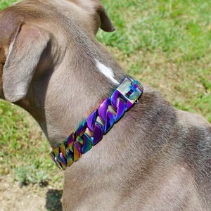 Hochwertiges Edelstahl-Hunde geschirr mit großer Rasse Luxus-Illusions beschichtetes Bulldoggen halsband mit kubanischer Glieder kette