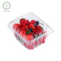 Voedselveilige recyclebare 250 gram plastic punnets PET verpakking voor blauwe bessen en frambozen met reliëfdruk en handvat voor groenten