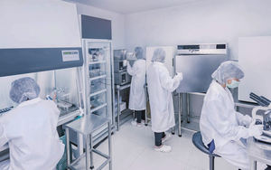 OEM creatina pó para adultos Sports Nutrition suplemento reforçado com zinco e magnésio - Product Image 3