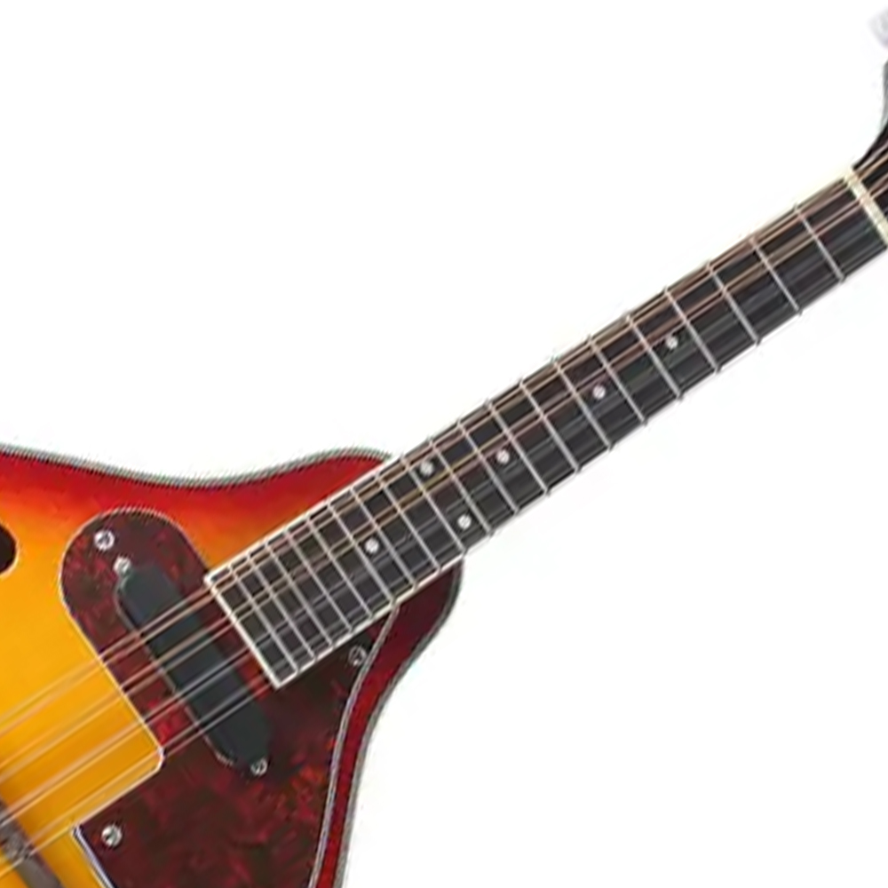 IRIN 8-String Electric Mandolin Set for Beginners - Acoustic