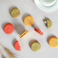 Macaron Francés con Galleta, Empaquetado Individualmente, 100g, Contiene Set de Macarons con Paquetes de Galletas, Venta al por Mayor