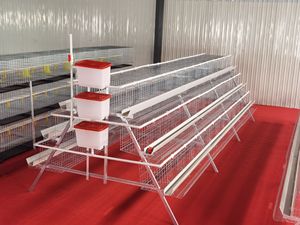 New Heavy-Duty Layer <strong>Cage</strong> Factory High Quality Galvanized Egg <strong>Cage</strong> Galvanized Battery Chicken <strong>Cage</strong> - Product Image 1
