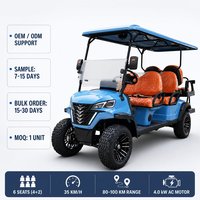 Voiturette de golf électrique 6 places, moteur AC 4,0 kW, batterie 100 Ah, suspension MacPherson, frein à disque avant, OEM ODM