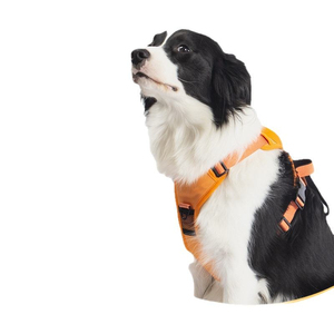 Harnais pour chien intégré avec laisse rétractable, type gilet, pour chiens de taille moyenne à grande, sangle anti-évasion avec boucle de fermeture - Product Image 4
