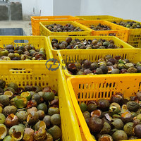 Séchoir à bande maillée continu pour marc de fruits, séchoir à bande maillée pour marc de raisin, séchoir à bande maillée pour marc d'orange