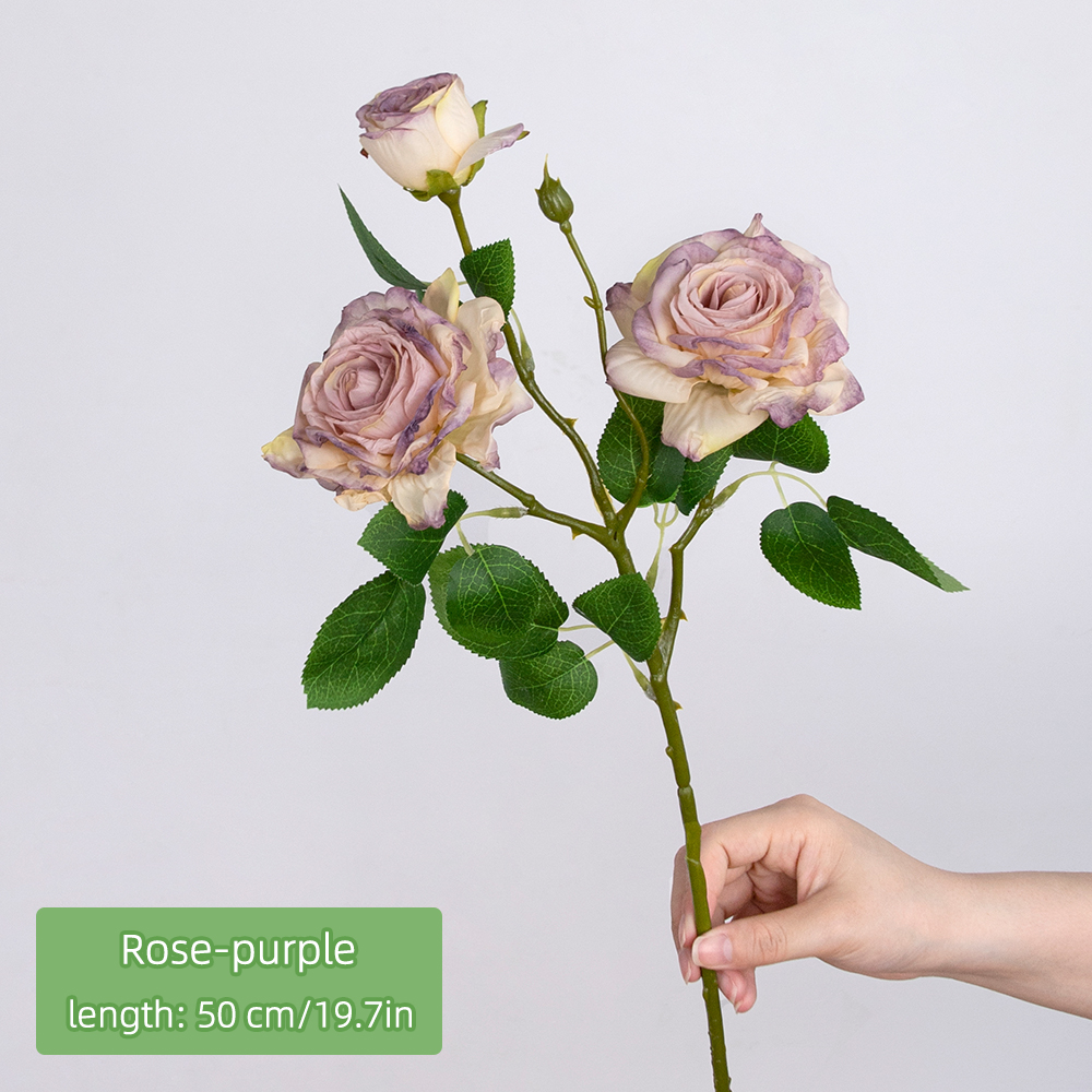 Pourpre