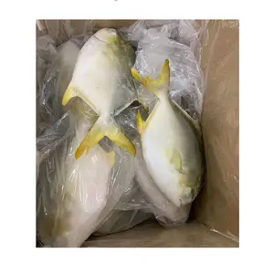 Popular Sale Price Frozen Golden Pompano Whole Fish IWP Or Bulk Package Products