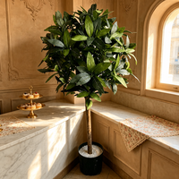 Petit arbre artificiel de laurier en pot, forme boule sucette, à tronc unique, pour décorations de mariage, de bureau et de maison