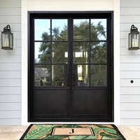 Puertas de vidrio de hierro y acero de metal de estilo interno francés moderno Diseño de puertas y ventanas de vidrio de arco