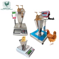 Báscula Electrónica Inalámbrica Inteligente para Aves de Corral, Báscula Digital para Pesar Pollos en Granjas