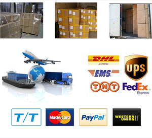 シェイク & サプリメント用ヘンププロテインパウダー植物ベースのプロテイン - Product Image 6