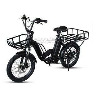 Bicicleta Eléctrica de Carga de 48v 350w con 2 Ruedas, 7 Velocidades y Desviador - Product Image 1