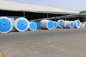 800mm Bant Genişliği 15Mpa EP100 Kauçuk Konveyör Bant Yağa Dayanıklı Kauçuk Konveyör Bant Üretim Tesisi / Perakende Endüstrileri için - Product Image 6