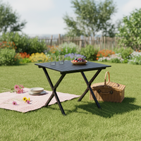 Table pliante en métal style simple, taille S, en acier au carbone, pour camping et plage, 2,7 kg, 2-8 personnes, vente directe usine