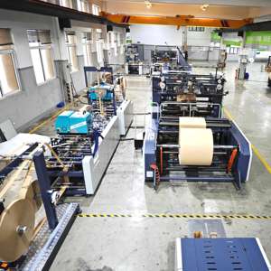 ROKIN BRAND Personnalisation <span class=keywords><strong>Carrefour</strong></span> Utilisation Sacs en papier Machines de fabrication Prix - Product Image 4