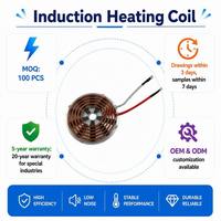 Fournisseur de plaques de cuivre personnalisées CHTX207-230 pour appareils électromagnétiques, bobine d'induction électromagnétique, bobine de chauffage par induction électrique