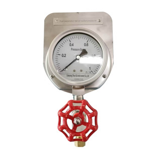 Manómetro Digital Marino de Acero Inoxidable para Uso General, Rango de 0-15000 PSI, Conexión M20*1.5, Modelo Y-100, Confiable y Preciso - Product Image 1