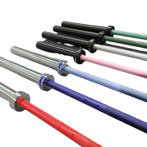 Beyond Sport Precio de fábrica OEM Cross Personalizar Gimnasio Competición de levantamiento de pesas Acero inoxidable 2,2 M Barra de pesas colorida - Product Image 6