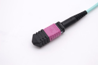 12 cœurs 12 brins 12 fibres centre de données OM4 connecteur de câble de sortie multi-mode MPO femelle vers cordon de raccordement à fibre optique LC