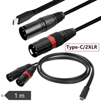Adaptador USB Tipo C a 2 XLR Macho, Salida Estéreo, Amplificador, Conversor de Altavoz, Cable