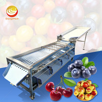 ORME Mandarijn Sorteermachine Citrus Avocado Olijf Ui Sorteer- en Maat sorteermachine te koop