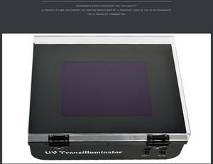 CHINCAN UV-6 เครื่องมือตรวจวัดรังสี UV หลอดไฟ UV 302 นาโนเมตร 197*147 มม. OEM รับประกัน 1 ปี เจลกรดนิวคลีอิก (DNA/RNA) AC 220V 8Wx6 - Product Image 3