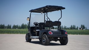 Productos Más Vendidos, Suministro de Alta Calidad, Carro de Golf de Cuatro Filas, Auto Clásico, Autobús Turístico - Product Image 2