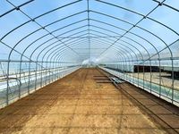 Tunnelkas voor groente- en fruitteelt |   Geïntegreerde dienstverlening van ontwerp, productie en installatie