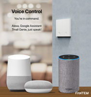 Interruptor Inteligente Inalámbrico para Casa Inteligente, Compatible con Alexa, Interruptor Táctil de Pared con WiFi, Compatible con la Aplicación Smart Life Tuya, Alexa y Google Home