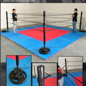FightBro FPR Portable Mini <span class=keywords><strong>Ring</strong></span> Boxing - Product Image 2
