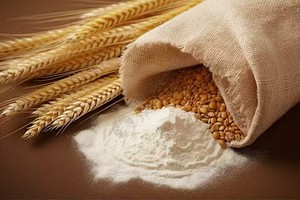 Almidón de trigo no <span class=keywords><strong>modificado</strong></span> genéticamente de alta calidad utilizado para el procesamiento de alimentos - Product Image 2