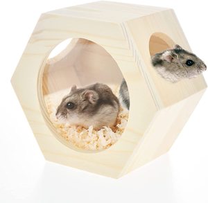 Nid pour petits animaux, cabane en bois, design hexagonal transparent en acrylique, maison à pois pour hamsters, chinchillas, animaux nains - Product Image 1