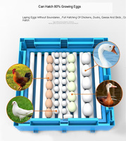 Incubateur Oeuf 100 a 300 320 Oeuf Poulet Couveuse à œufs Machine